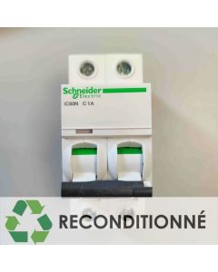 ACTI9 DISJONCTEUR IC60N 2P 1A COURBE C || SCHNEIDER ELECTRIC FRANCE A9F74201 (JAMAIS UTILISÉ, DANS SON EMBALLAGE D'ORIGINE)